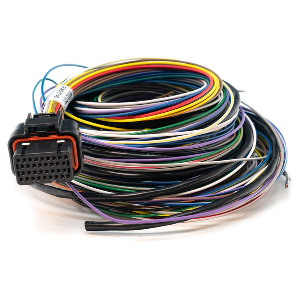 Link Wire-In B Loom, Medium 2.5m (2LB)